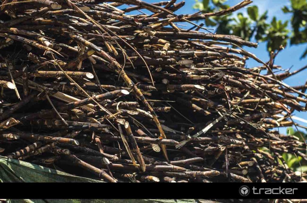 Transporte de cana de açúcar