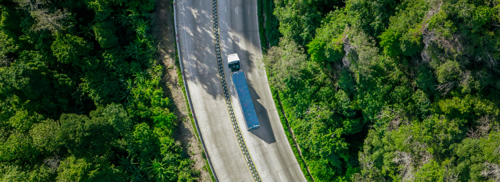 Logística verde representada por caminhão trafegando em pista rodeada de árvores.